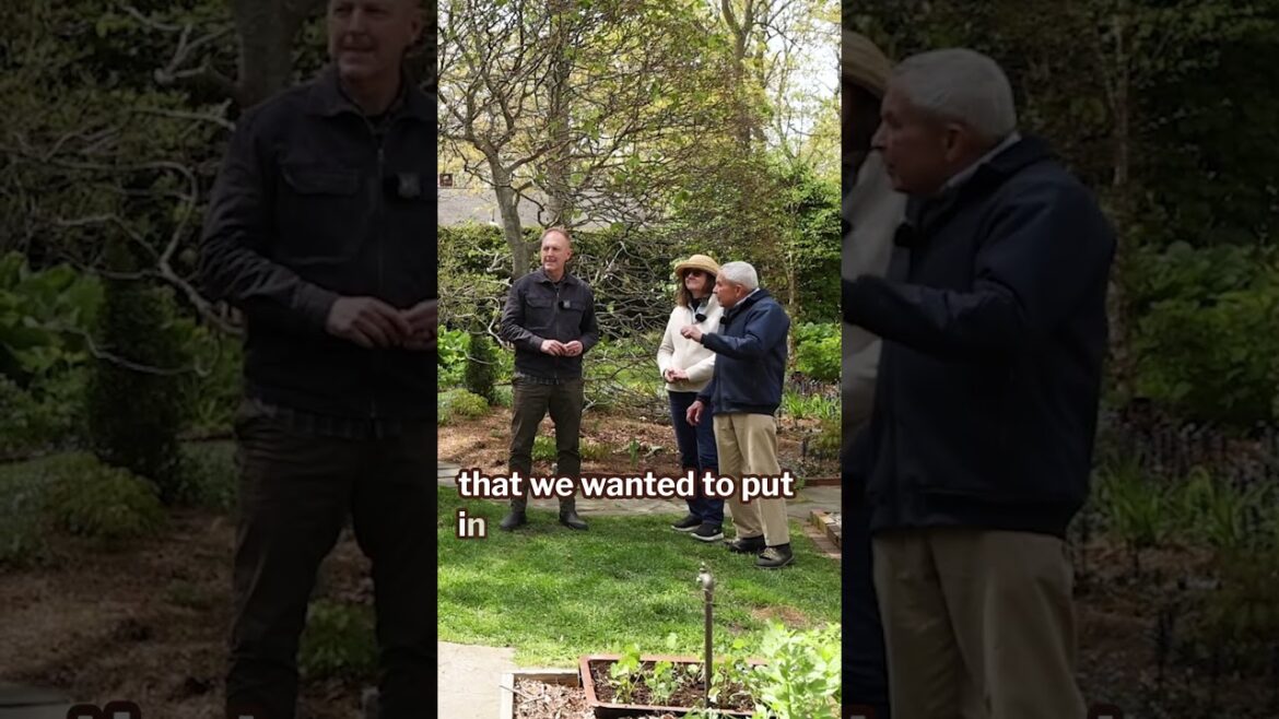 Turn a Wood Pile Into a Beautiful Garden Feature | Talk & Tour Clip #gardendesign Turn a Wood Pile Into a Beautiful Garden Feature | Talk & Tour Clip #gardendesign
