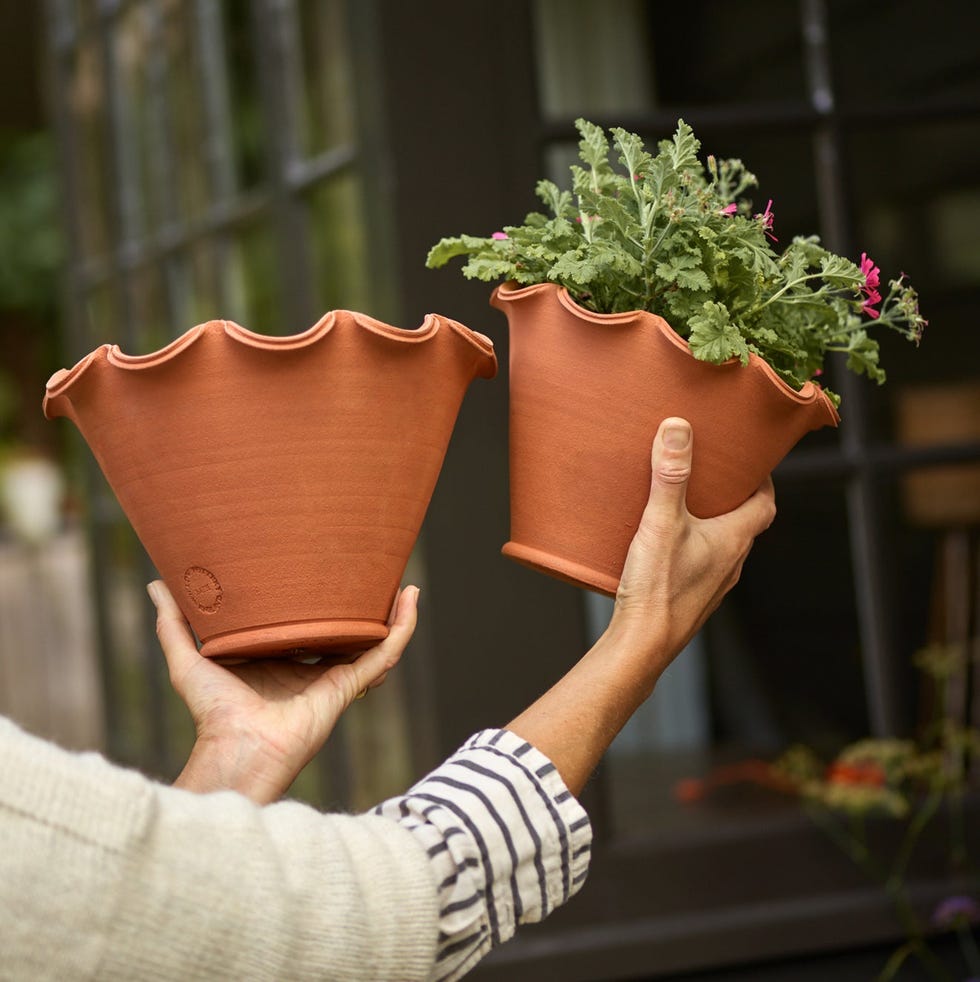 Eden Terracotta Pot