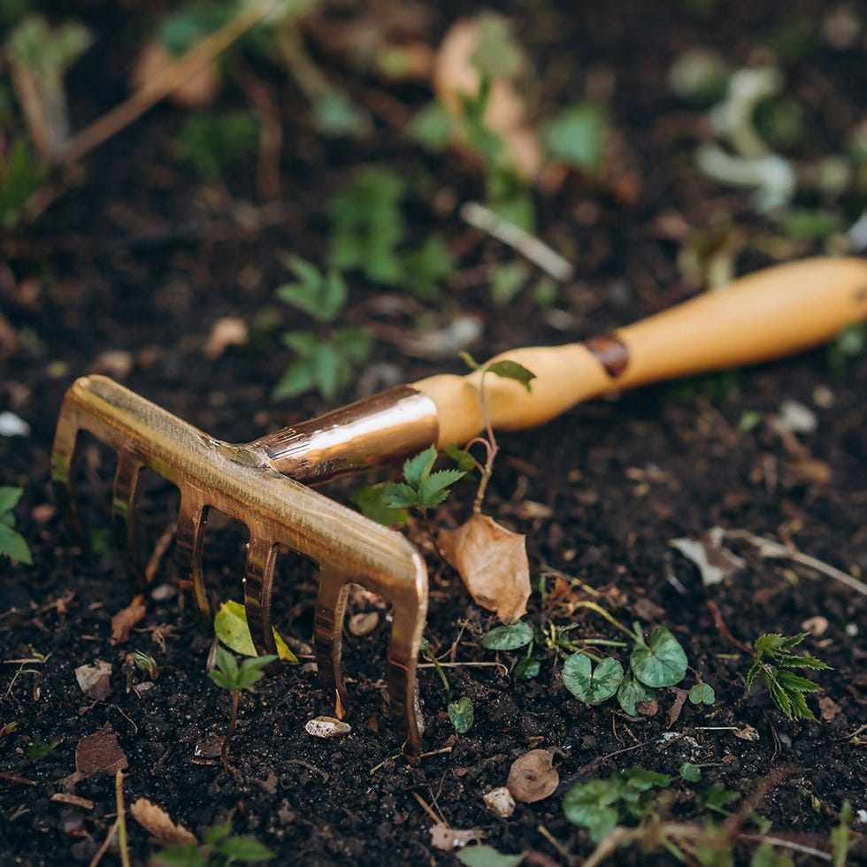 Atik - Mini Rake