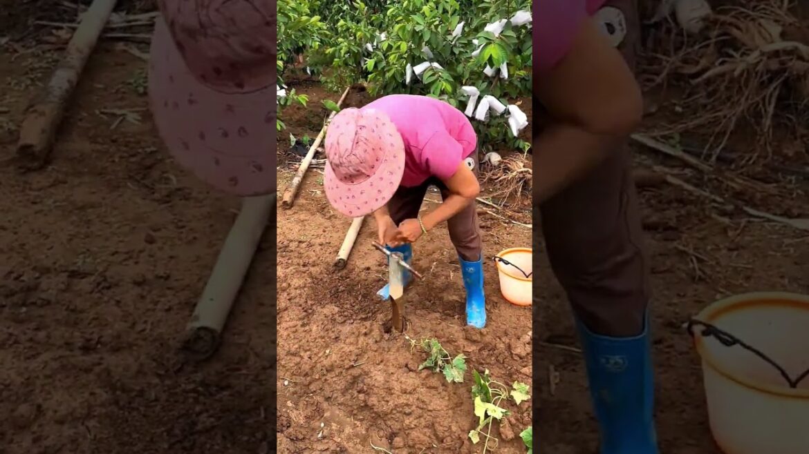 This Manual Hole Digger Is Surprisingly Fast! 🤯🪵 #shorts This Manual Hole Digger Is Surprisingly Fast! 🤯🪵 #shorts