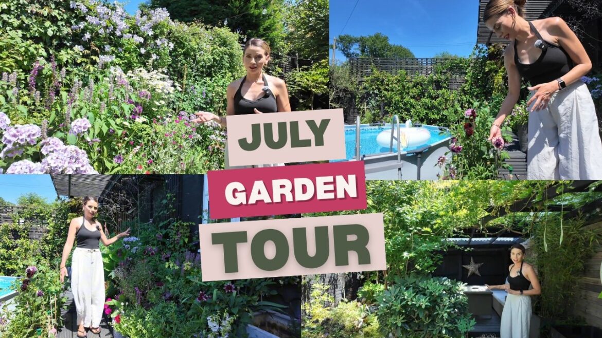 Garden Tour of My July Garden | See What’s Blooming in My UK Cottage Garden Garden Tour of My July Garden | See What's Blooming in My UK Cottage Garden