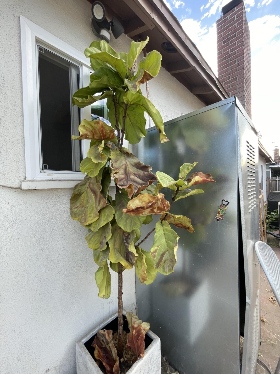 Need help!