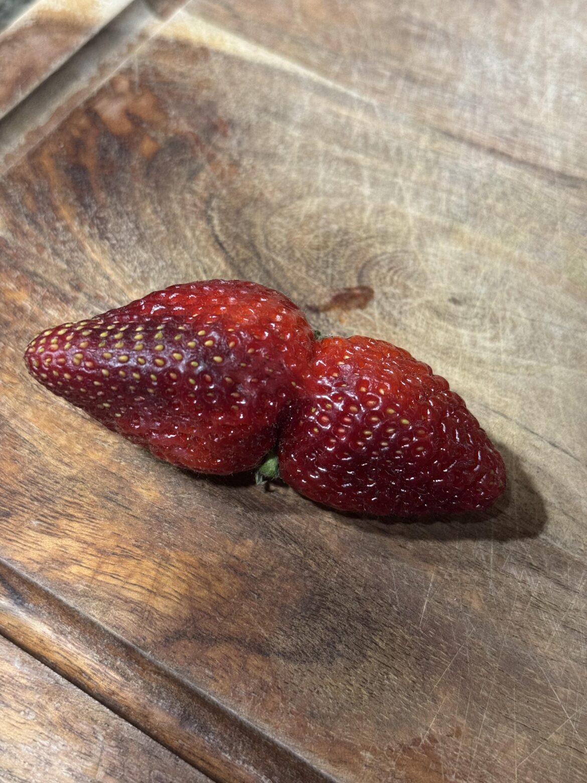 Conjoined Strawberries
