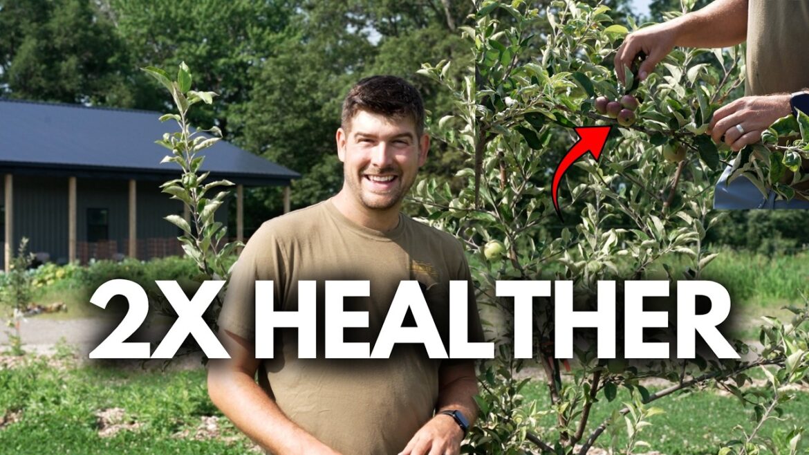 MIgardener: 80 Year Old Farmer Changed How I Grow Apples Forever 80 Year Old Farmer Changed How I Grow Apples Forever