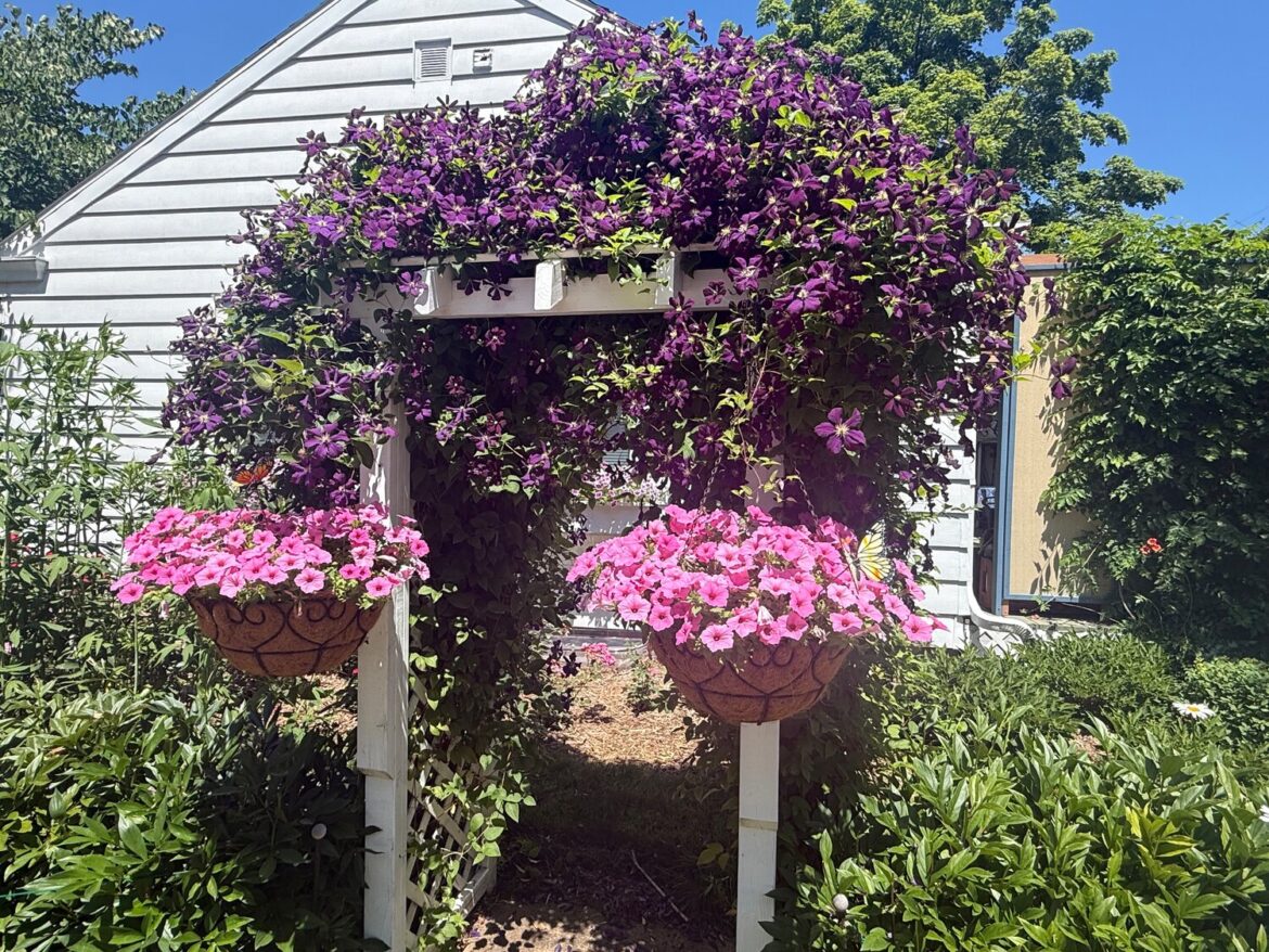 Gardener’s Club to host fourth annual Garden Walk The Garden Walk features seven privately owned gardens throughout De Pere, Allouez and the east side of Green Bay, featuring smaller city lots as well as larger plots, showing that curating a beautiful garden is possible regardless of property size.