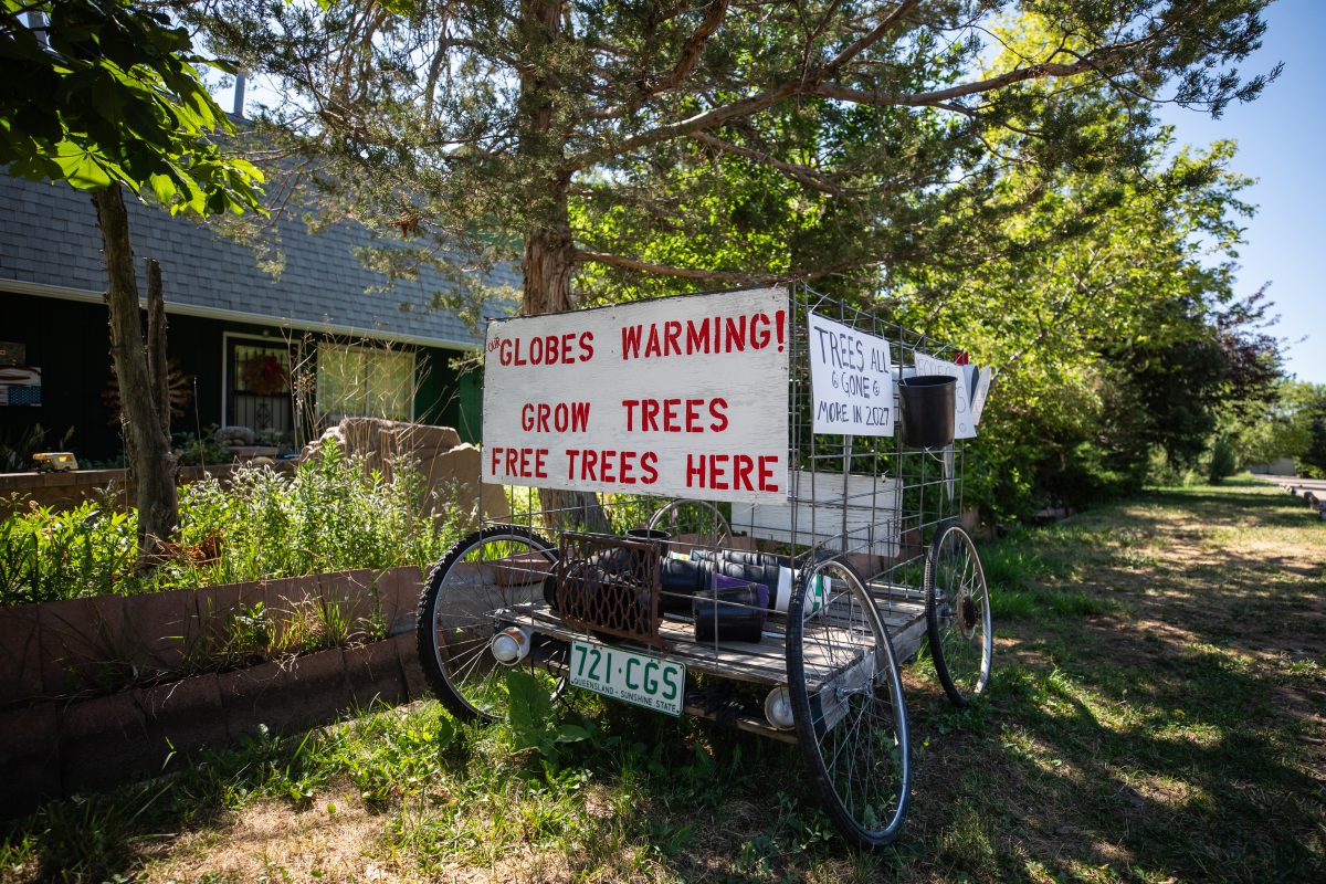 Homemade cart under trees with signs reading “Globes Warming! Grow Trees Free Trees Here” and “Trees All Gone in One 80 Yrs,” parked on grass, with a green license plate.