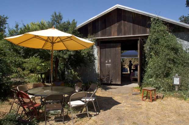Celebrate the bounty of the season on Saturday, Aug. 9 at the weekly Harvest Market at Sonoma Garden Park in Sonoma. (Robbi Pengelly / The Sonoma Index-Tribune file)