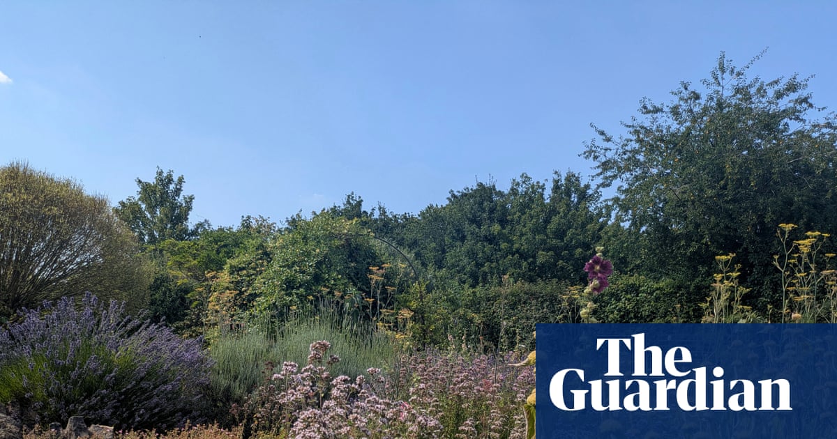 Country diary: In poet John Clare’s garden, I contemplate my ancestor who lived here too | John Clare - All For Gardening