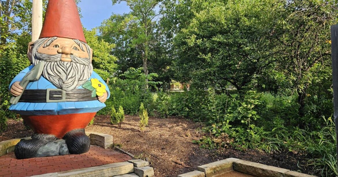 ‘Baby Gnome’ arriving at ISU’s Reiman Gardens in Ames | Iowa State Legislative News