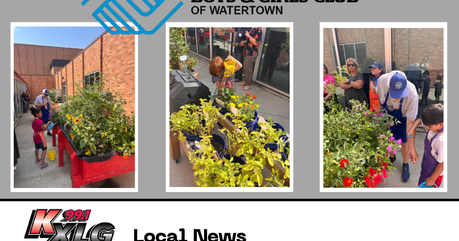 Gardening, Mentorship Growing Together at Boys & Girls Club of Watertown | Local News Gardening, Mentorship Growing Together at Boys & Girls Club of Watertown | Local News