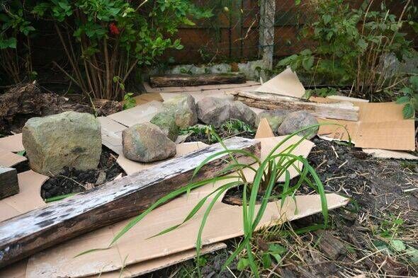 Putting cardboard in a flowerbed to limit the spread of weeds and keep the soil moist.