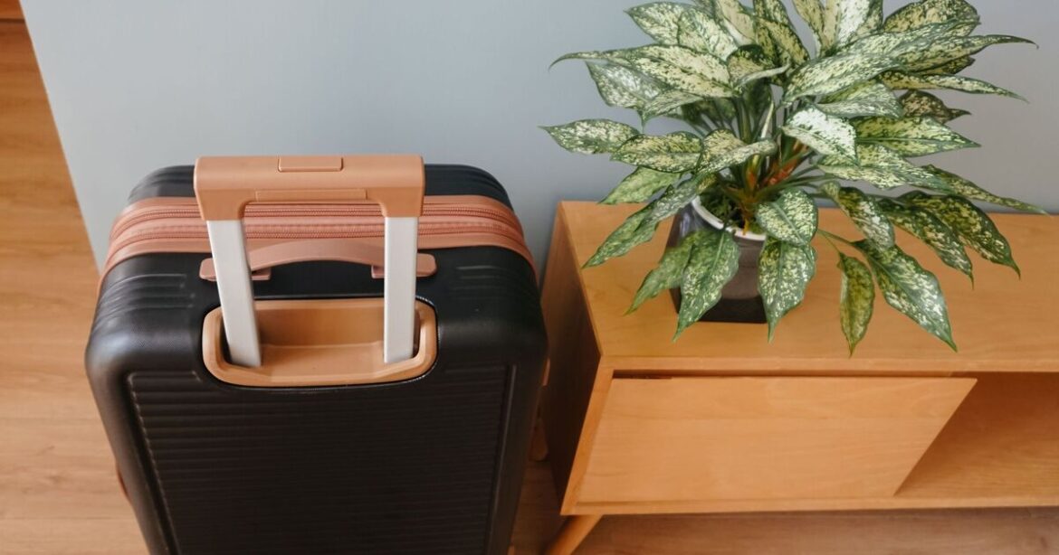 Gardeners going on holiday urged to do 4 things to protect plants