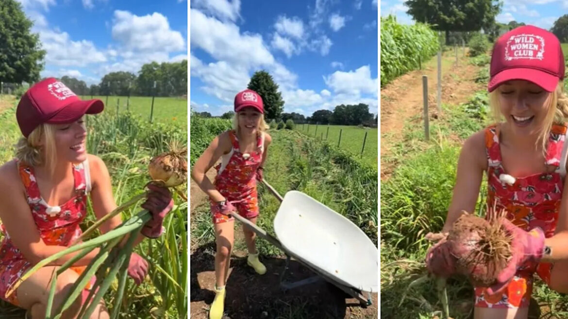 Backyard gardener has never had luck with onions, but fills a wheelbarrow with a giant harvest this year Backyard gardener has never had luck with onions, but fills a wheelbarrow with a giant harvest this year