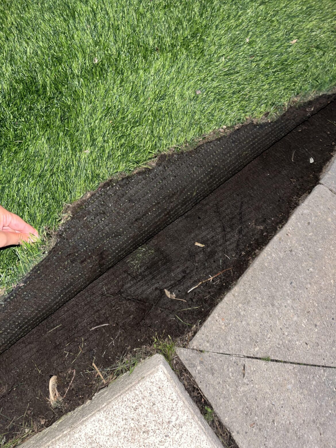 Fake turf grass to real grass advice
