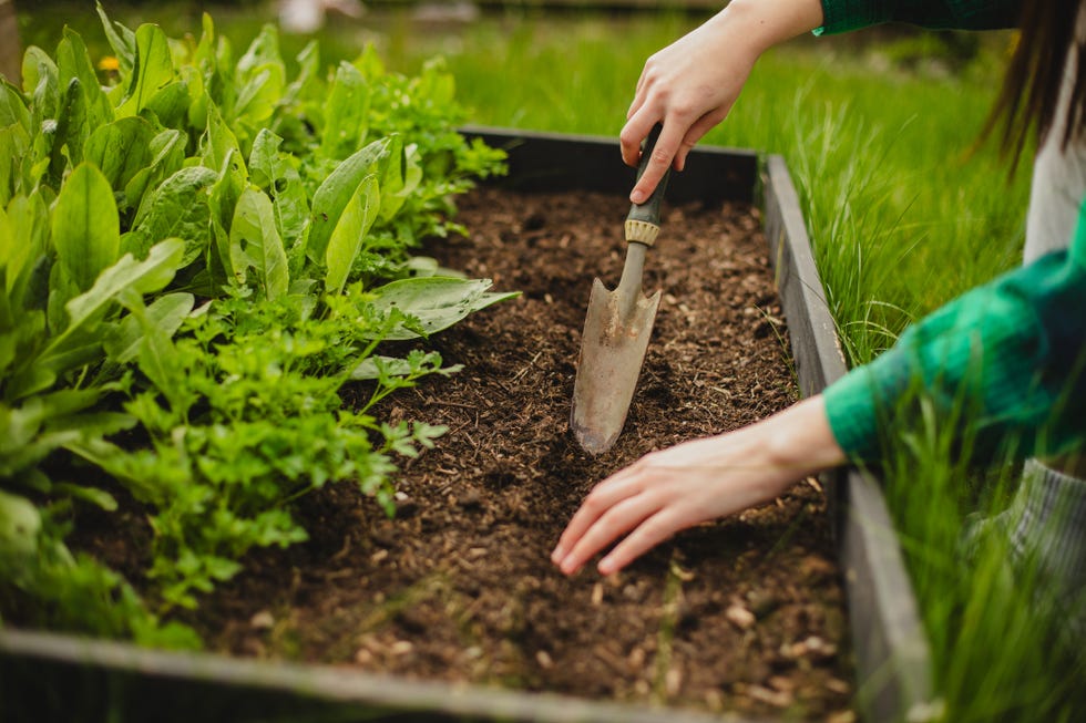 gardening activity with hands working in soil
