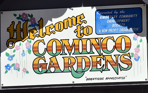 Official opening of revitalized Cominco Gardens July 15 Official opening of revitalized Cominco Gardens July 15