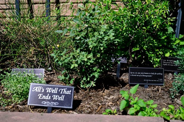 All the herbs, flowers trees and plants, including roses, lilies, chamomile, thyme, rosemary and rue, were chosen for the garden because Shakespeare mentioned them. (Joel Solis/Staff Photographer)