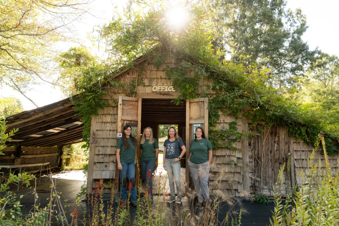How Native Plant Landscaping Is Transforming Chesapeake Bay Yards How Native Plant Landscaping Is Transforming Chesapeake Bay Yards