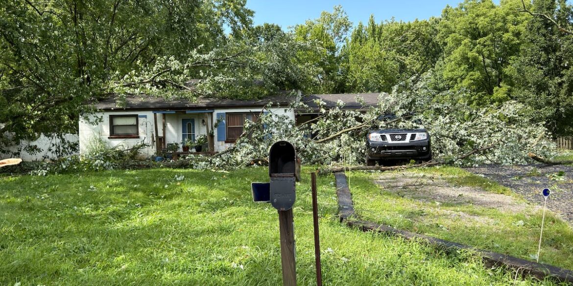 Storm tears through New Richmond, toppling trees and destroying homeowner’s garden Storm tears through New Richmond, toppling trees and destroying homeowner’s garden