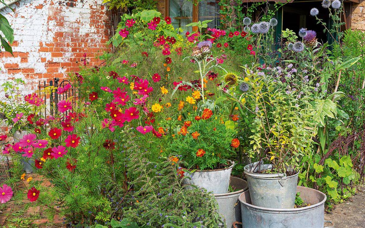 Arthur Parkinson’s Clever Container Gardening Ideas Arthur Parkinson Container Garden