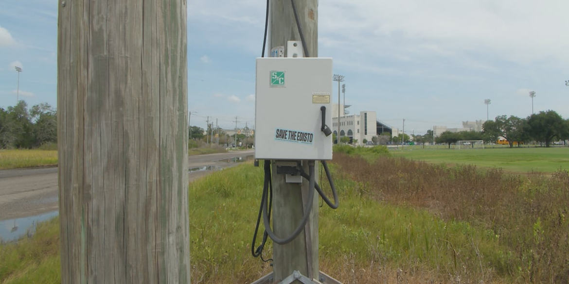 Environmental experts raise the alarm after Dominion sprays plants with herbicide