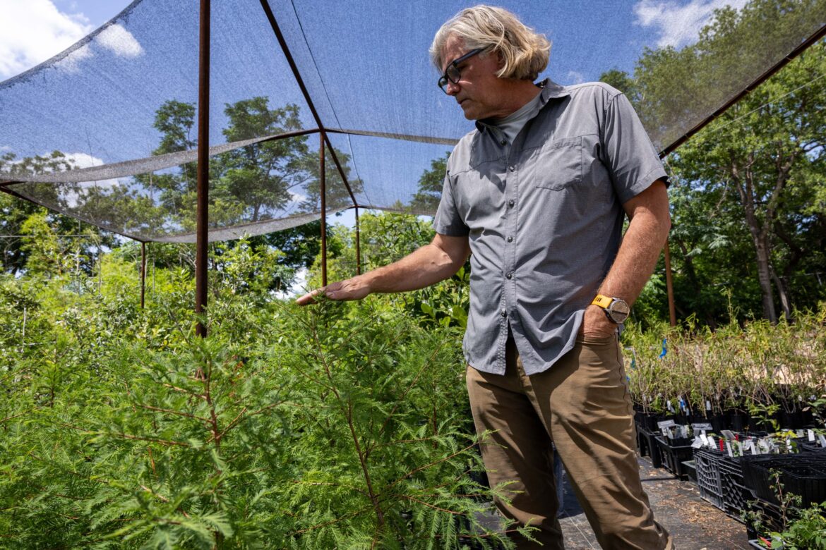 San Antonio Botanical Garden helps replant Hill Country riverbanks
