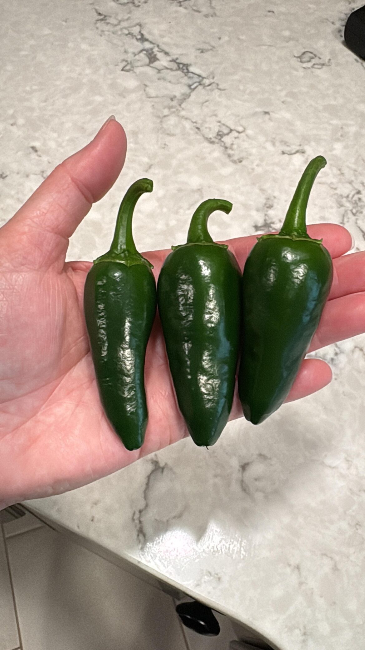 First harvest 🥴 of the season First harvest 🥴 of the season