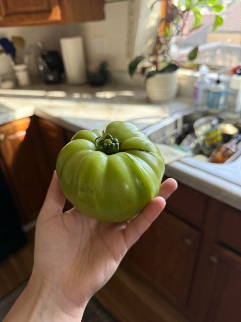 Love for beefsteak tomatoes!