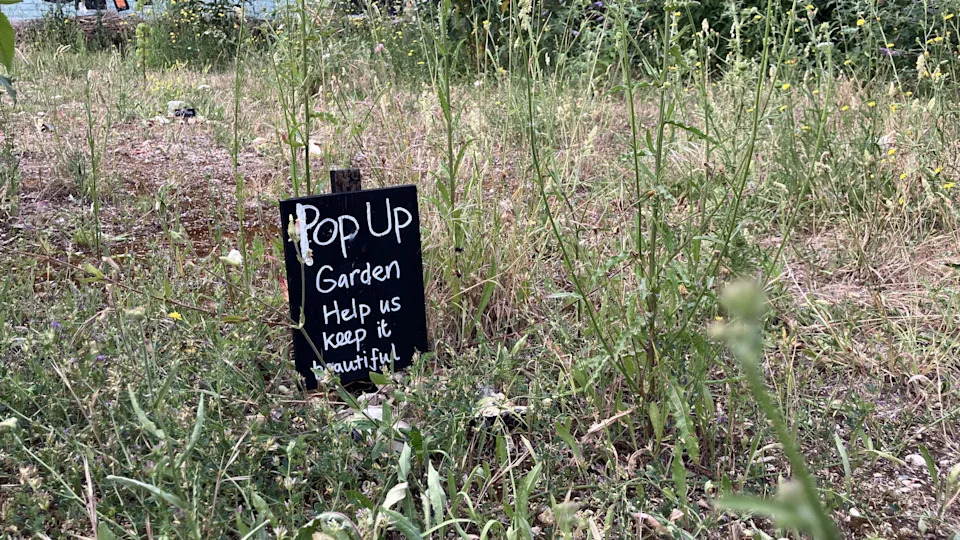 A black sign with the words “Pop Up Garden Help us keep it beautiful” on a wooden pole is stuck in the ground and surrounded by wild green plants.
