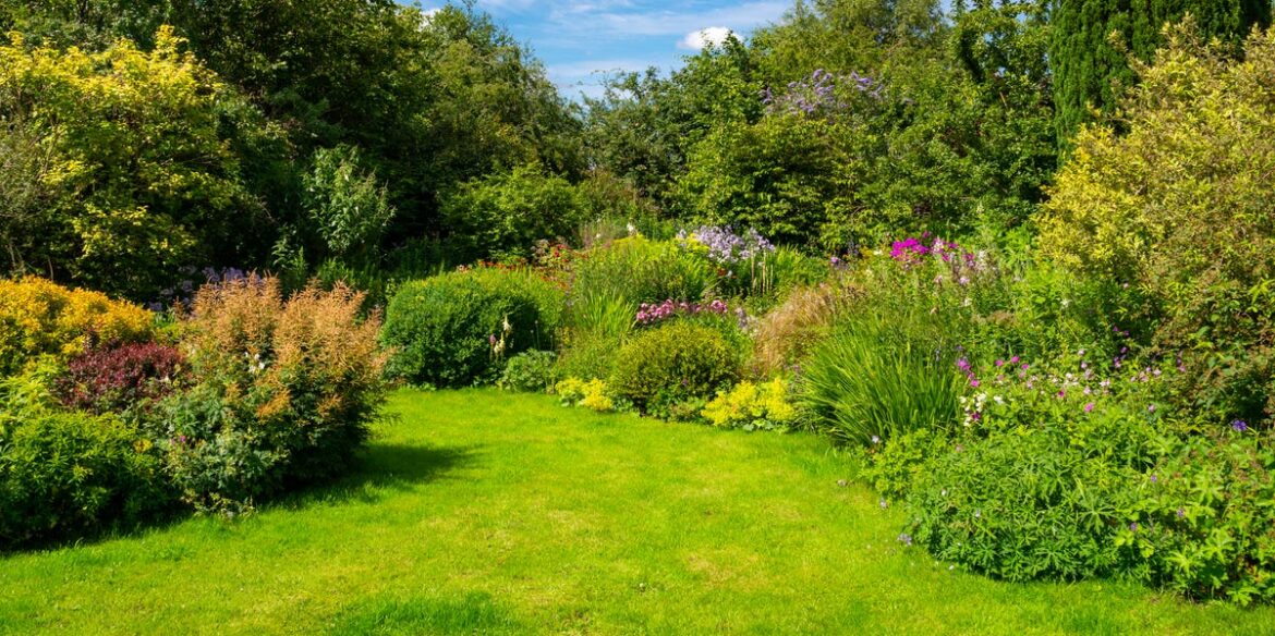 Don’t Make These 4 Lawn Recovery Mistakes After a Heatwave – They Could Make the Damage Worse Don't Make These 4 Lawn Recovery Mistakes After a Heatwave – They Could Make the Damage Worse