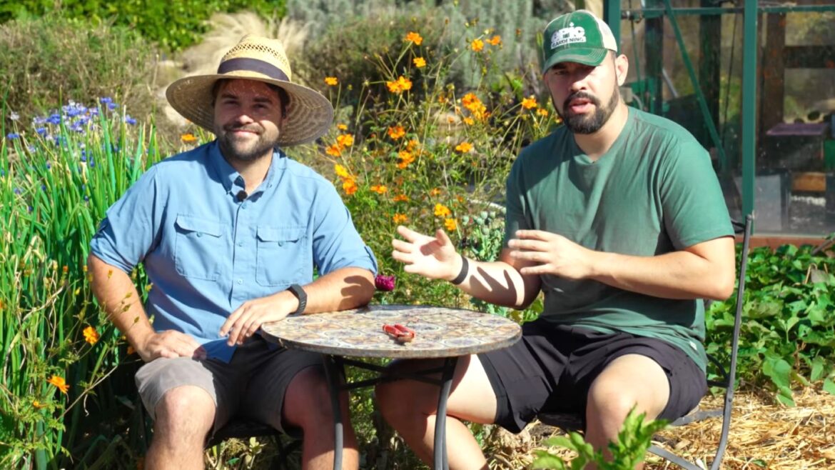 Pro gardeners share exactly what to plant to feed a family of 4 for an entire year Two men sit at a table in a garden filled with colorful flowers, discussing and gesturing animatedly.
