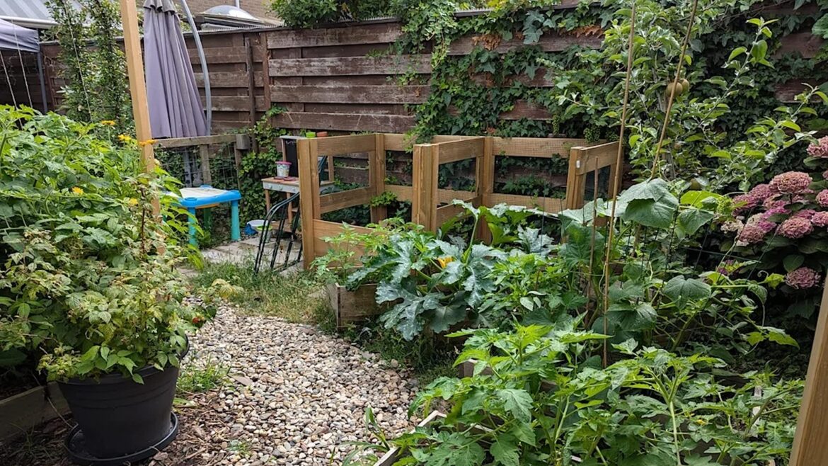 Gardener in the Netherlands shares lush backyard after just 1 of 20 birthday guests noticed it A lush garden scene featuring various plants, a wooden compost bin, and a small table with chairs amidst greenery.