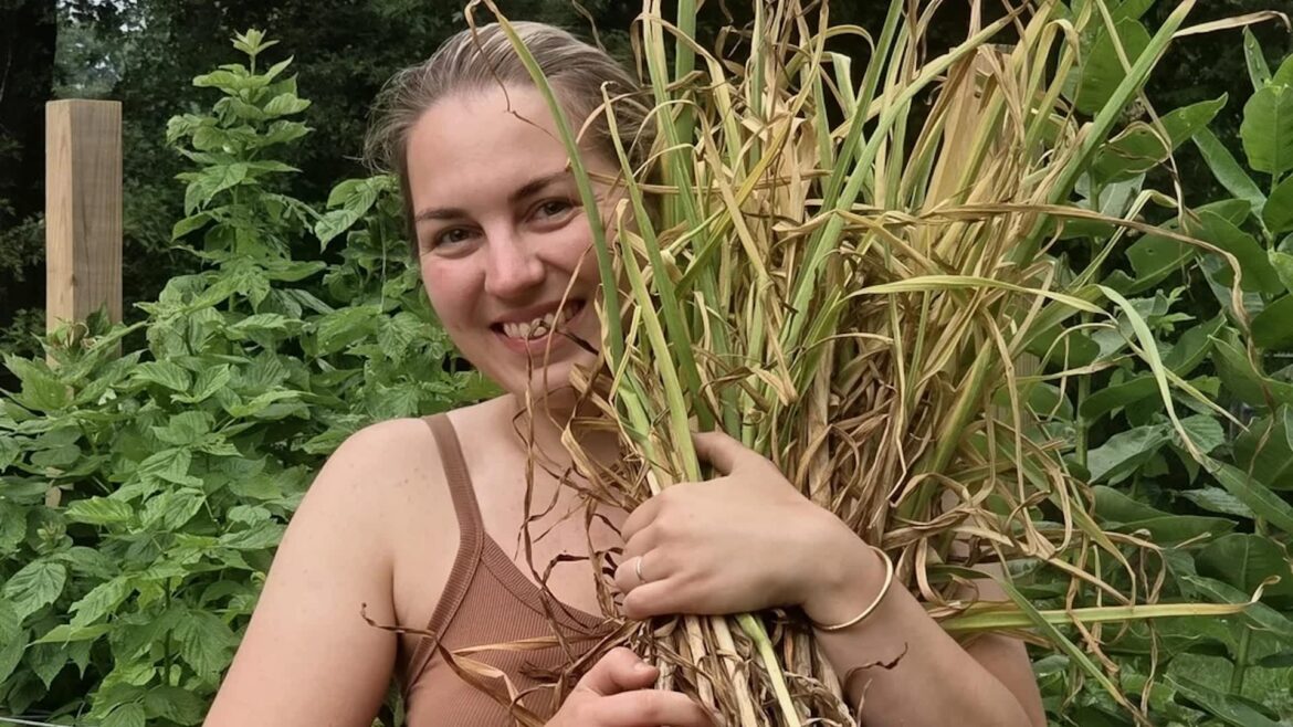 Home gardener’s huge garlic harvest gets neighbors, coworkers, and Reddit talking A smiling woman holds a large bundle of dried plants in a lush garden setting.