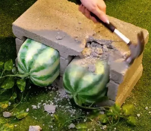 Creative Ways to Revamp Your Summer Garden 5-Minute Crafts