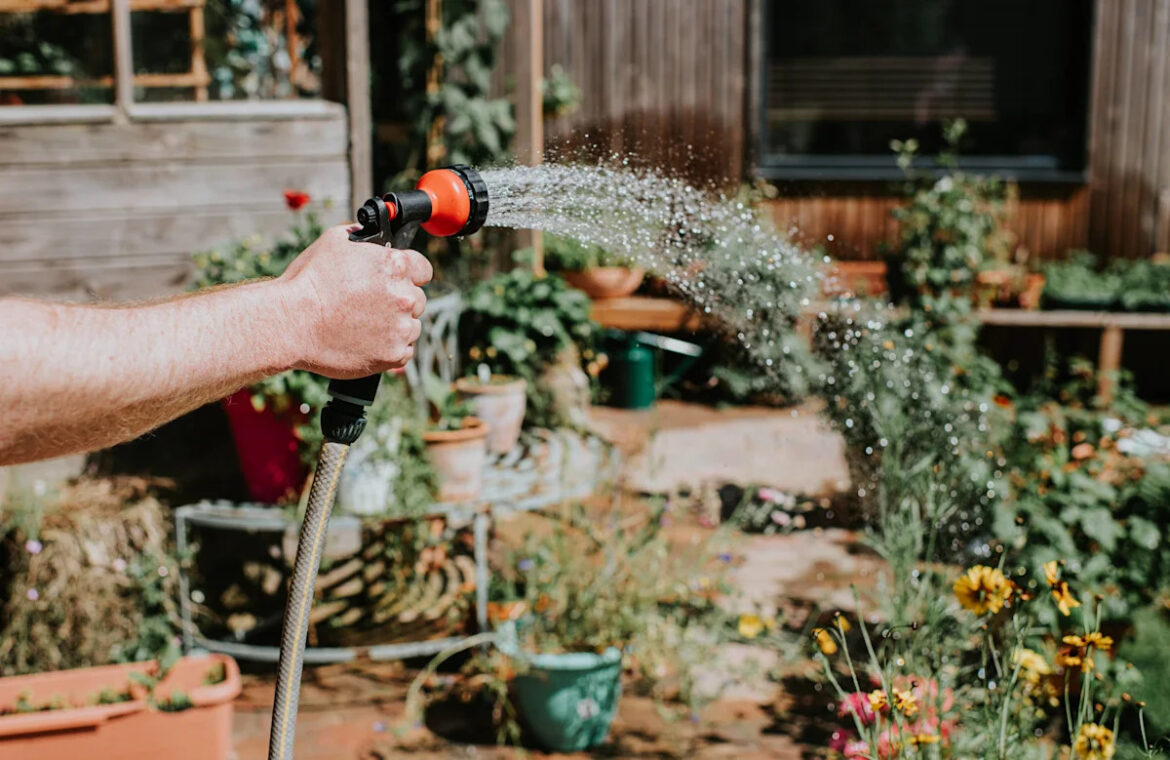 Master Gardener Outlines 4 Plant Care Tasks to Avoid During Heat Wave Master Gardener Outlines 4 Plant Care Tasks to Avoid During Heat Wave