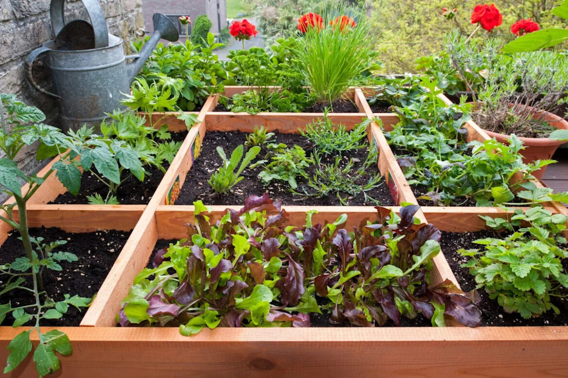 Your Herbs Aren’t Dying Because of You—Gardening Pros Say Your Kitchen May Be the Problem Your Herbs Aren’t Dying Because of You—Gardening Pros Say Your Kitchen May Be the Problem