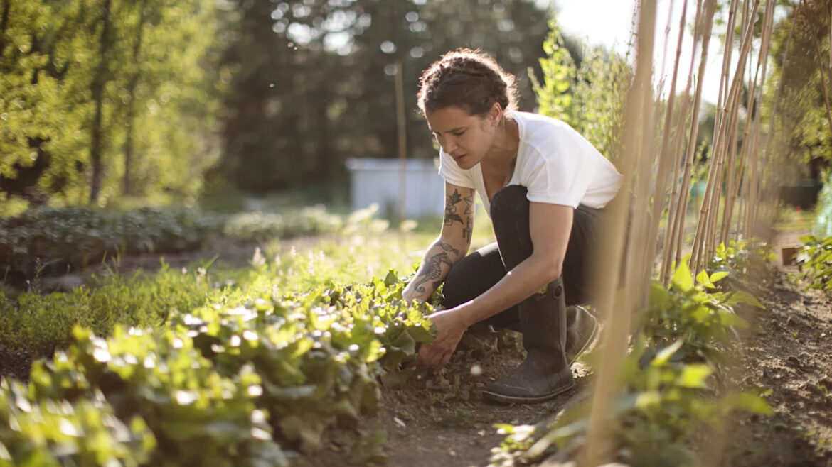 The Common ‘Weed’ That Can Actually Be Super Beneficial To Your Garden The Common 'Weed' That Can Actually Be Super Beneficial To Your Garden