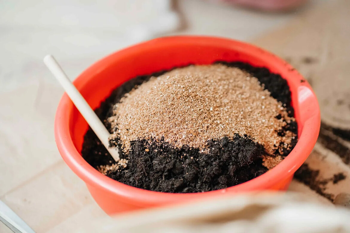 Should You Add Sand to Your Potting Soil? What Gardening Experts Say Should You Add Sand to Your Potting Soil? What Gardening Experts Say