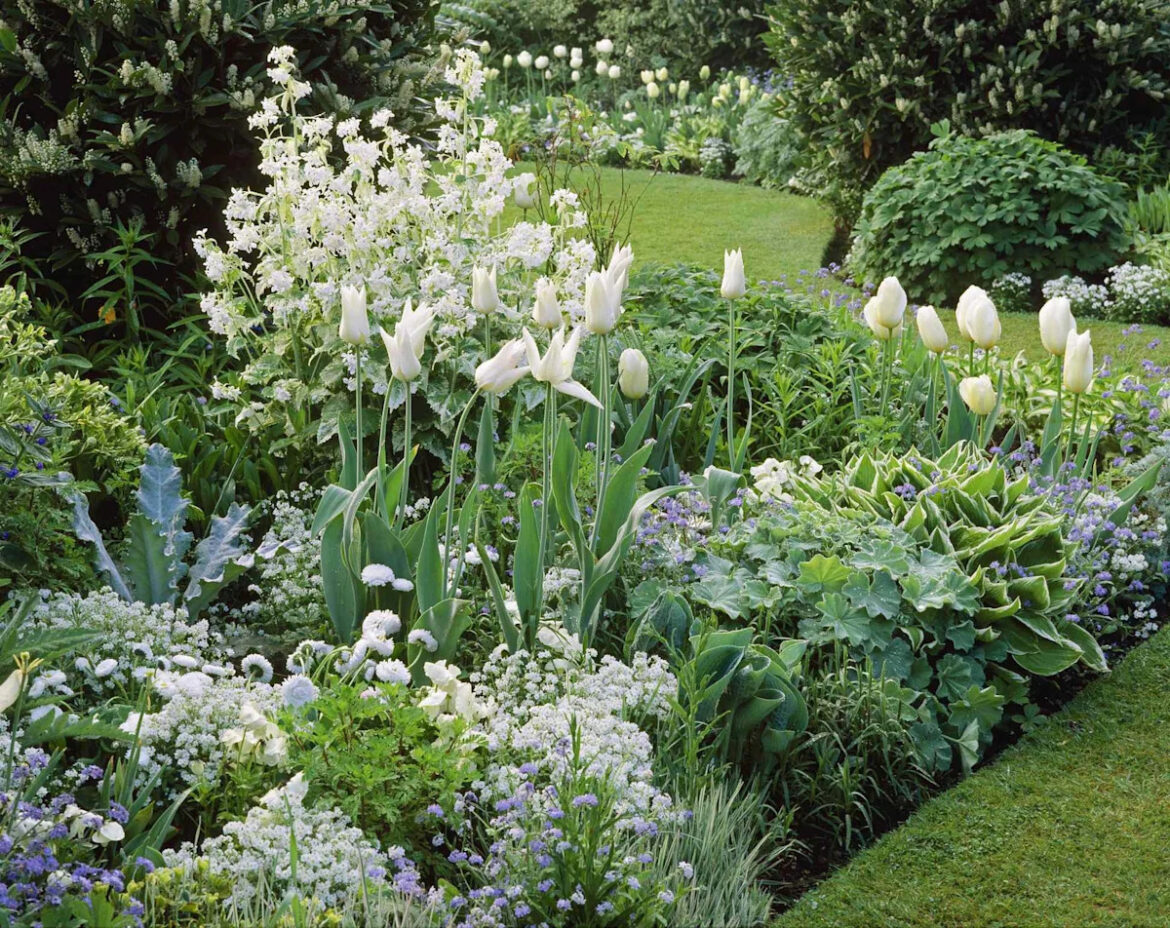 5 Tips For Planting A Monochromatic Flower Garden That Feels Anything But Boring 5 Tips For Planting A Monochromatic Flower Garden That Feels Anything But Boring