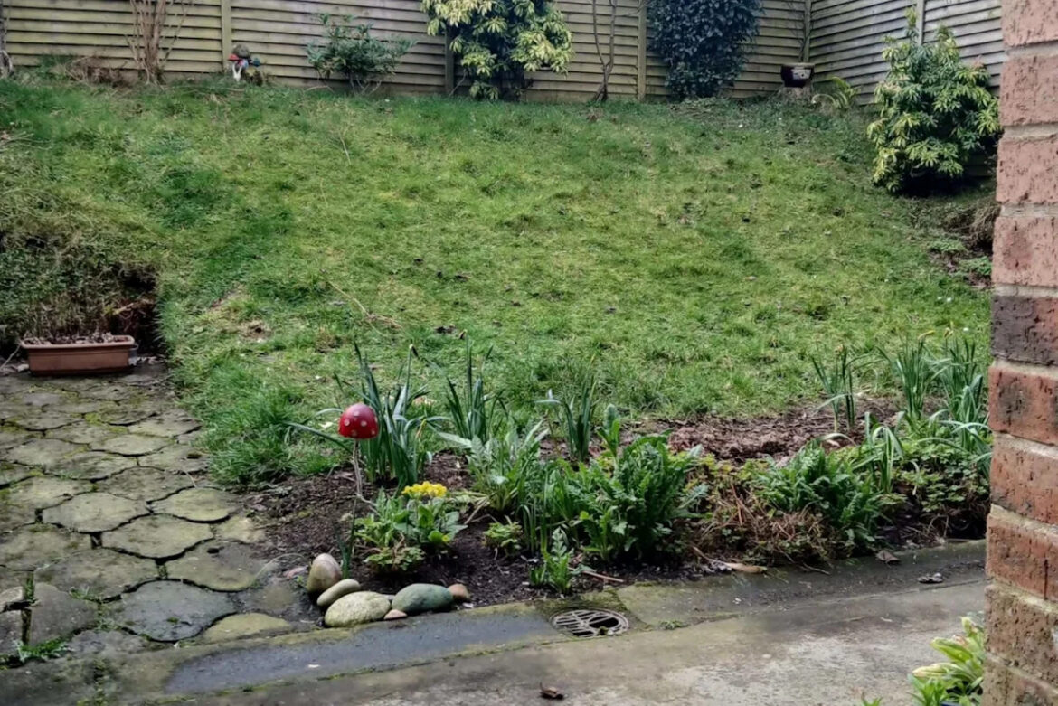 Homeowner transforms steep, unusable hill into stunning garden using free materials Homeowner transforms steep, unusable hill into stunning garden using free materials
