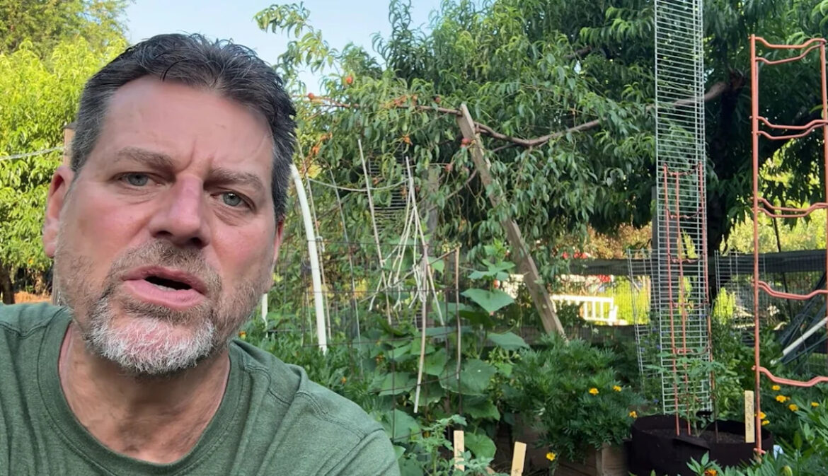 Still planting in July? These 15-plus crops prove it's not too late