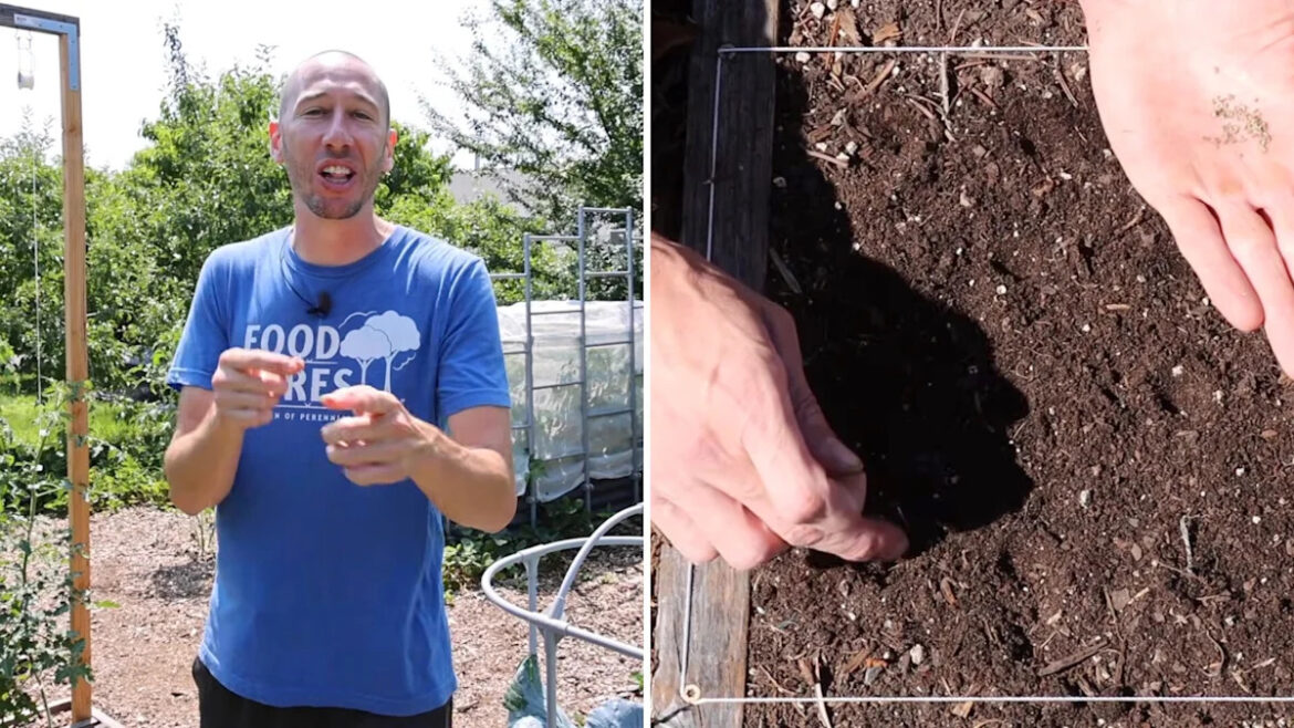 Gardening expert says July isn't too late — these 10 crops can still fill your garden before frost