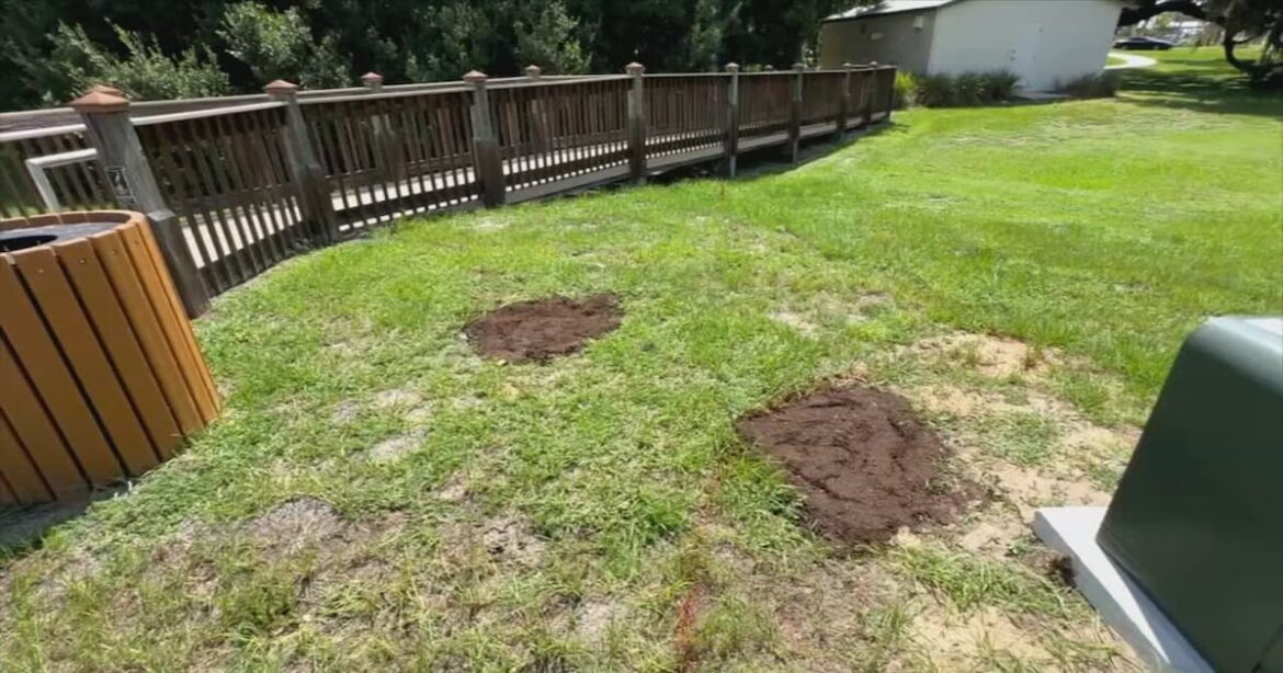 Winter Garden removes gun ban at Tucker Ranch Park