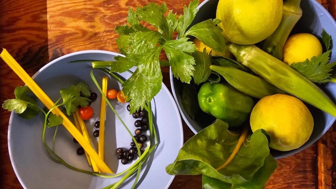 HOA-restricted gardener turns a tiny backyard harvest into crepes, lemonade, and lunch Yield from kitchen garden