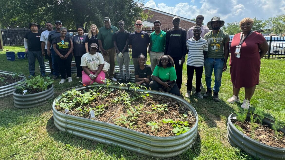 KSU community garden KSU community garden