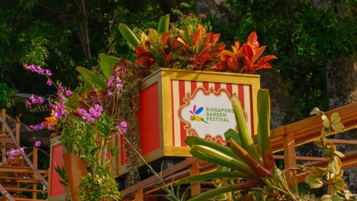 Singapore Garden Festival 2026 Returns With Spectacular Floral Displays Singapore Garden Festival 2026 Returns With Spectacular Floral Displays