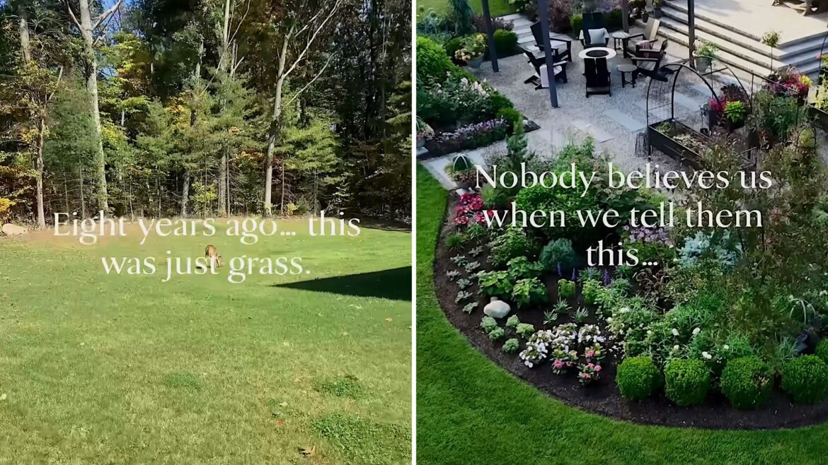 Eight years of work turned one backyard into a garden of 200 hydrangeas, 100 roses, and a waterfall A split image showing a previously bare grassy area now transformed into a vibrant garden with flowers and seating.
