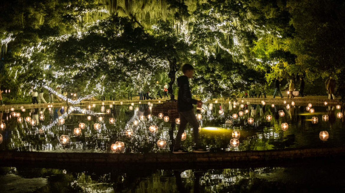 SC botanical garden among best in US, new ranking shows SC botanical garden among best in US, new ranking shows