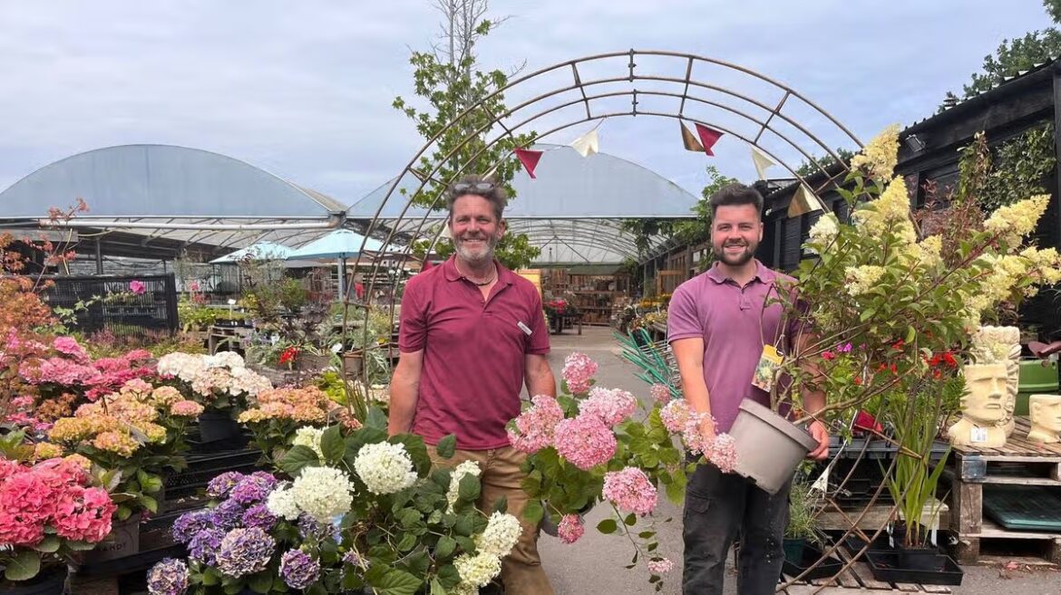 The ‘hidden gem’ Cheshire village garden centre with 200-year history Cheshire Live