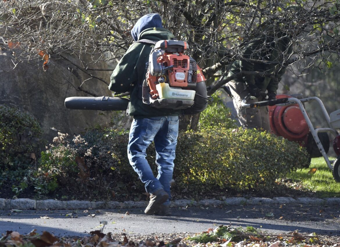 Norwalk isn’t ready to ban gas-powered leaf blowers Norwalk isn't ready to ban gas-powered leaf blowers